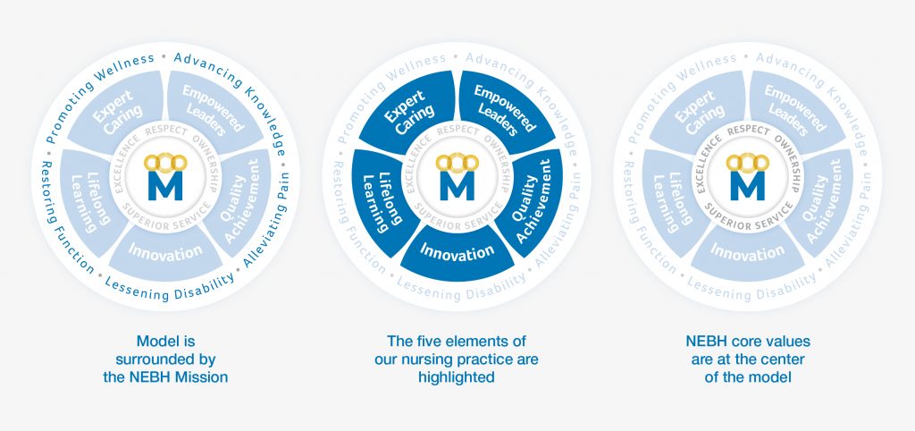 Nursing Professional Practice Model